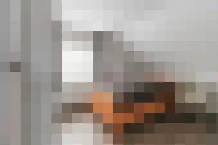 Smaldersestraat 30 Liempde thumbnail 35