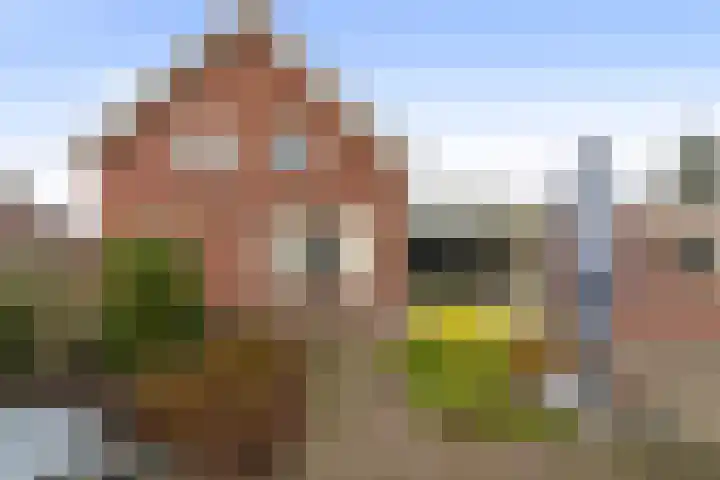 Smaldersestraat 30 Liempde thumbnail 46