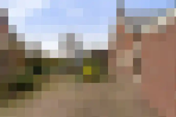 Smaldersestraat 30 Liempde thumbnail 47