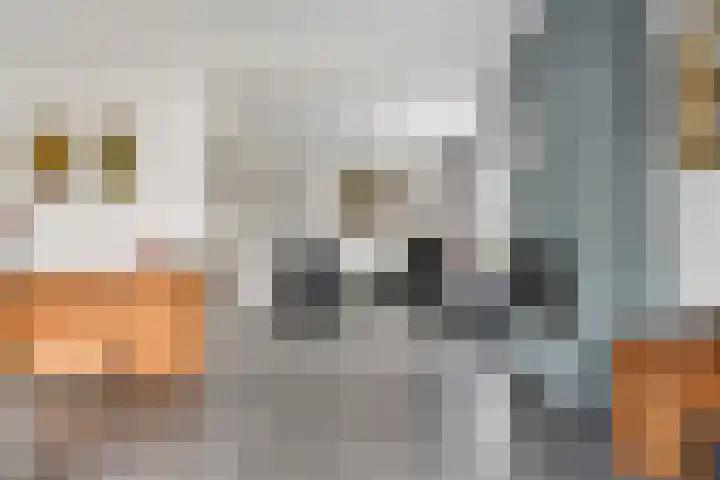 Smaldersestraat 30 Liempde thumbnail 6