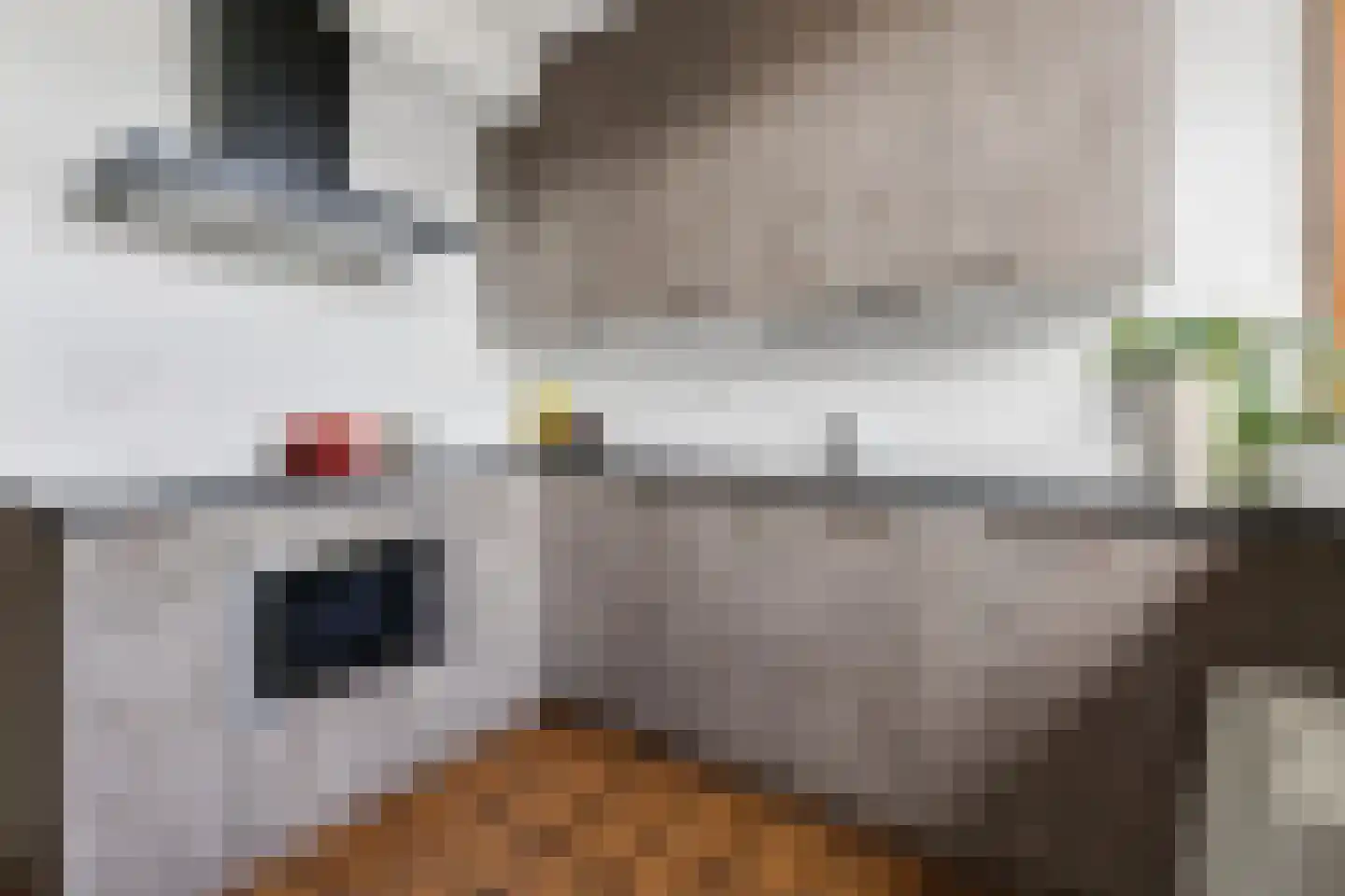 Smallandstraat 58 Pernis Rotterdam thumbnail 16