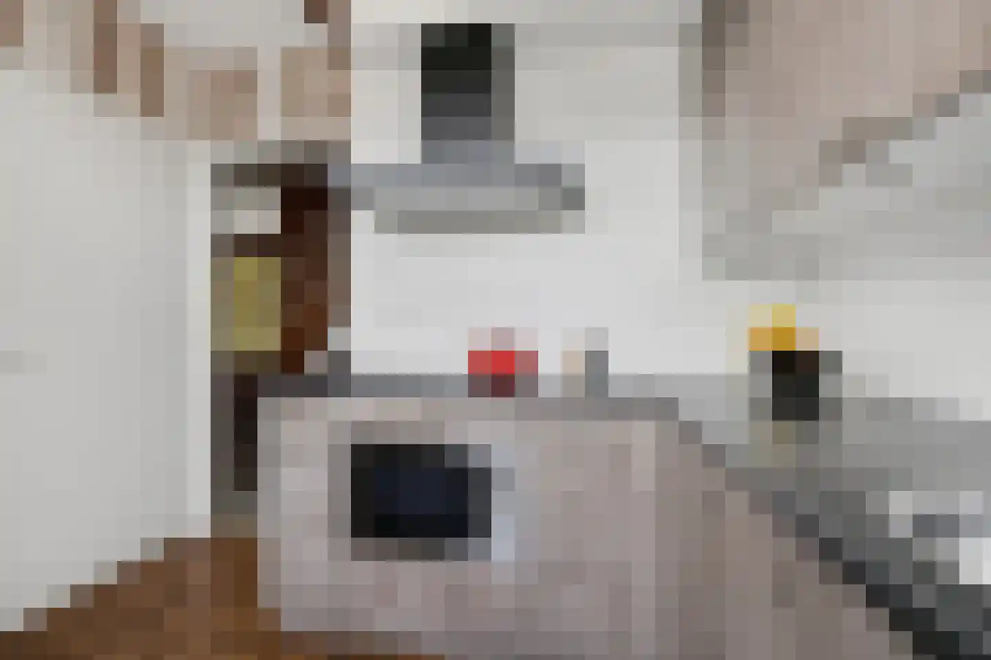 Smallandstraat 58 Pernis Rotterdam thumbnail 17