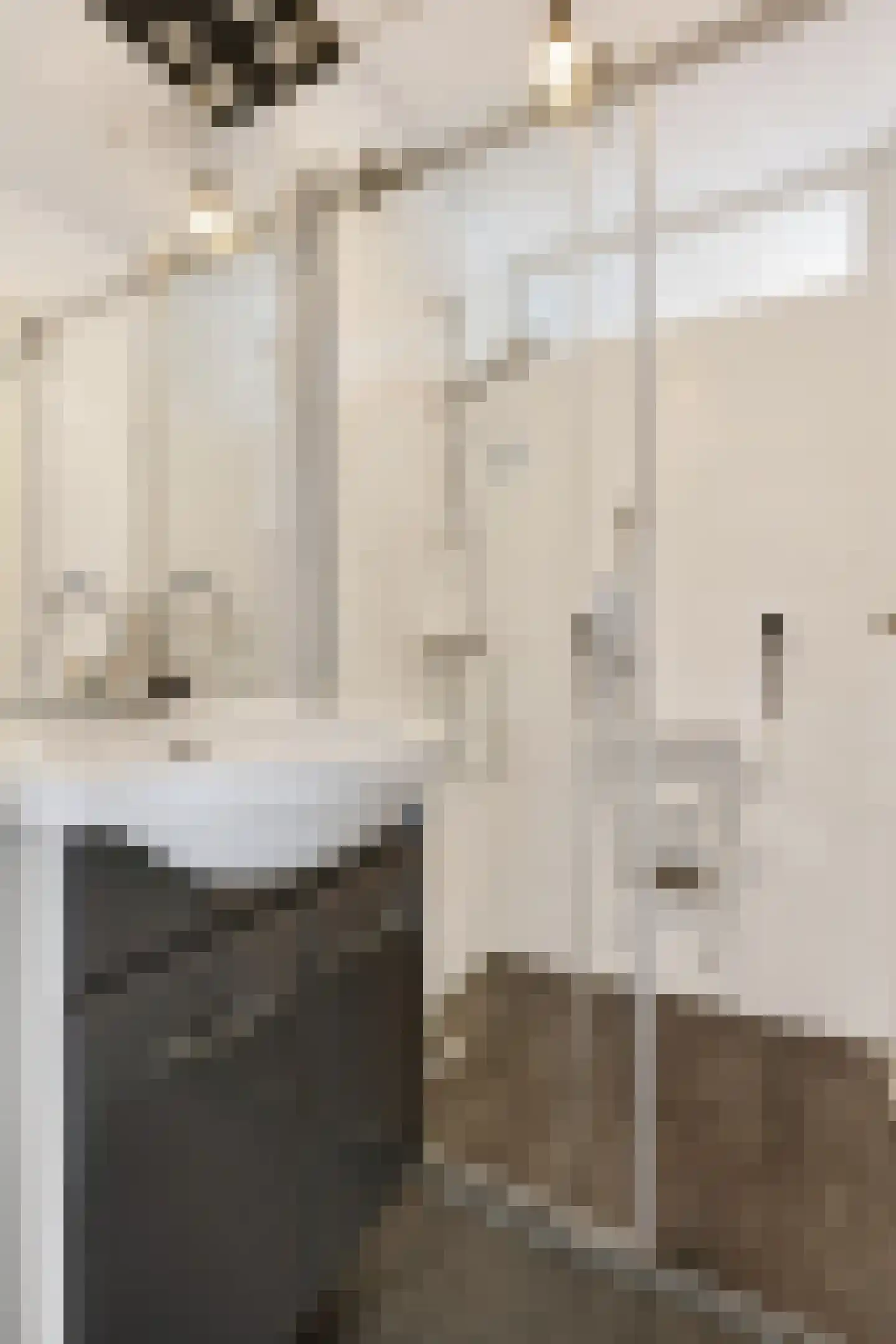 Smallandstraat 58 Pernis Rotterdam thumbnail 30