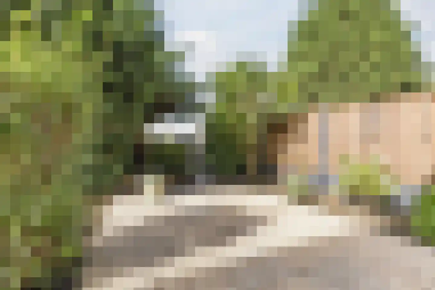 Smallandstraat 58 Pernis Rotterdam thumbnail 37