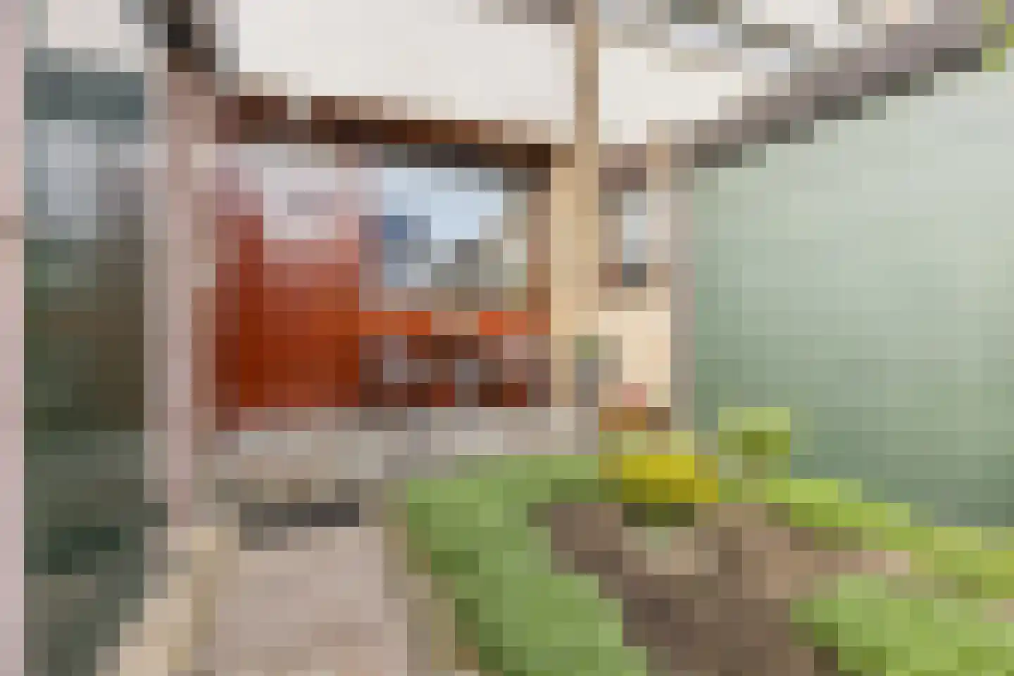 Smallandstraat 58 Pernis Rotterdam thumbnail 7