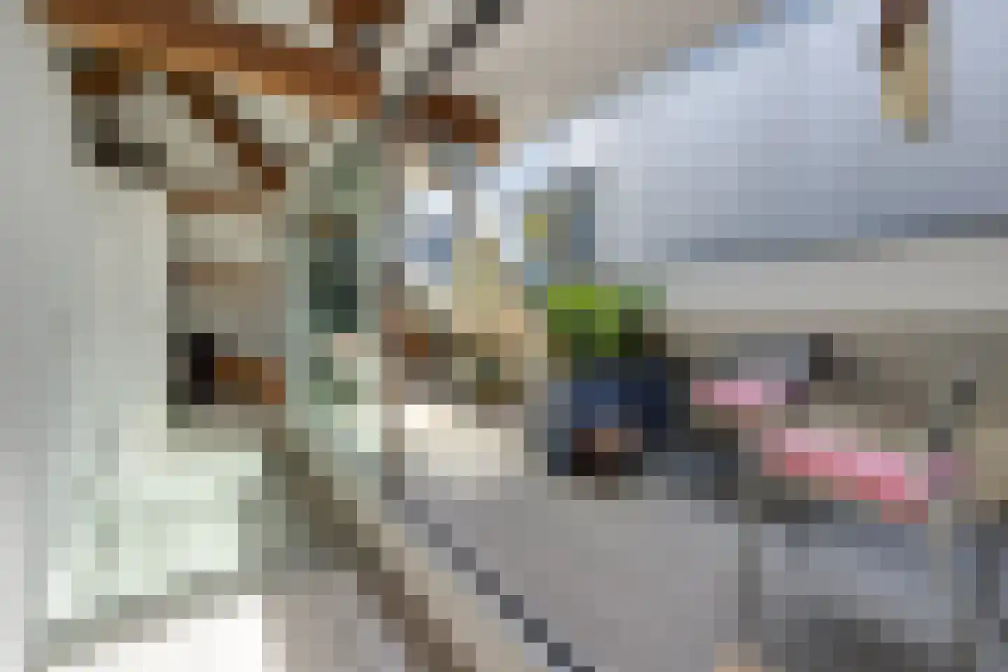 Smalle Haven 161 's-Hertogenbosch thumbnail 31