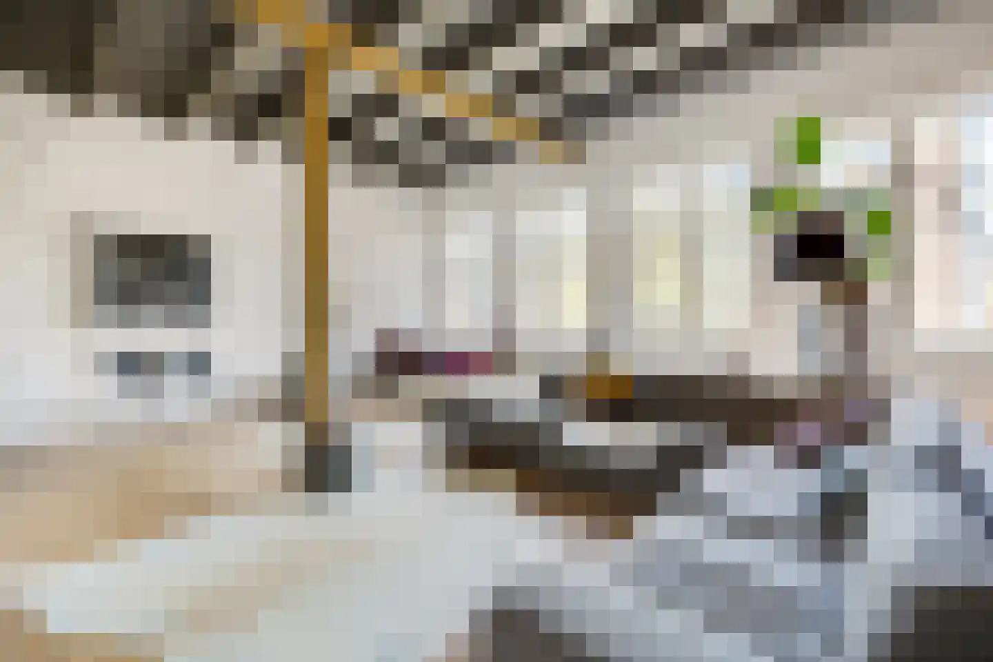 Smalle Haven 161 's-Hertogenbosch thumbnail 7