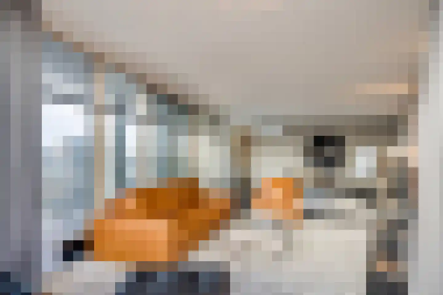 Smalle Haven 27 Eindhoven thumbnail 17