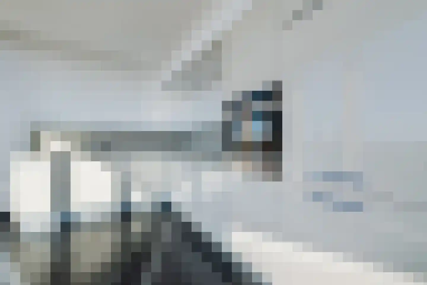 Smalle Haven 51 Eindhoven thumbnail 12