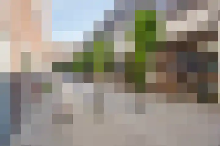 Smalle Haven 75 Eindhoven thumbnail 43