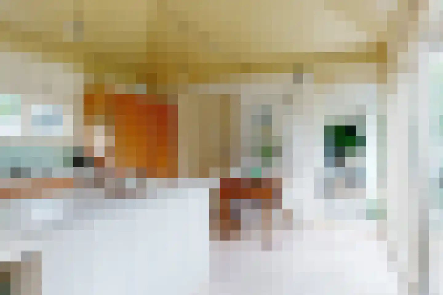 Smalle Themaat 15 Vleuten thumbnail 14