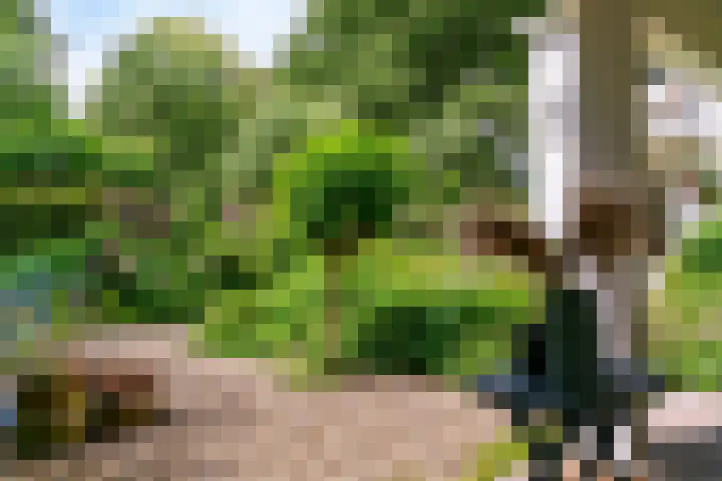 Smalle Themaat 15 Vleuten thumbnail 45