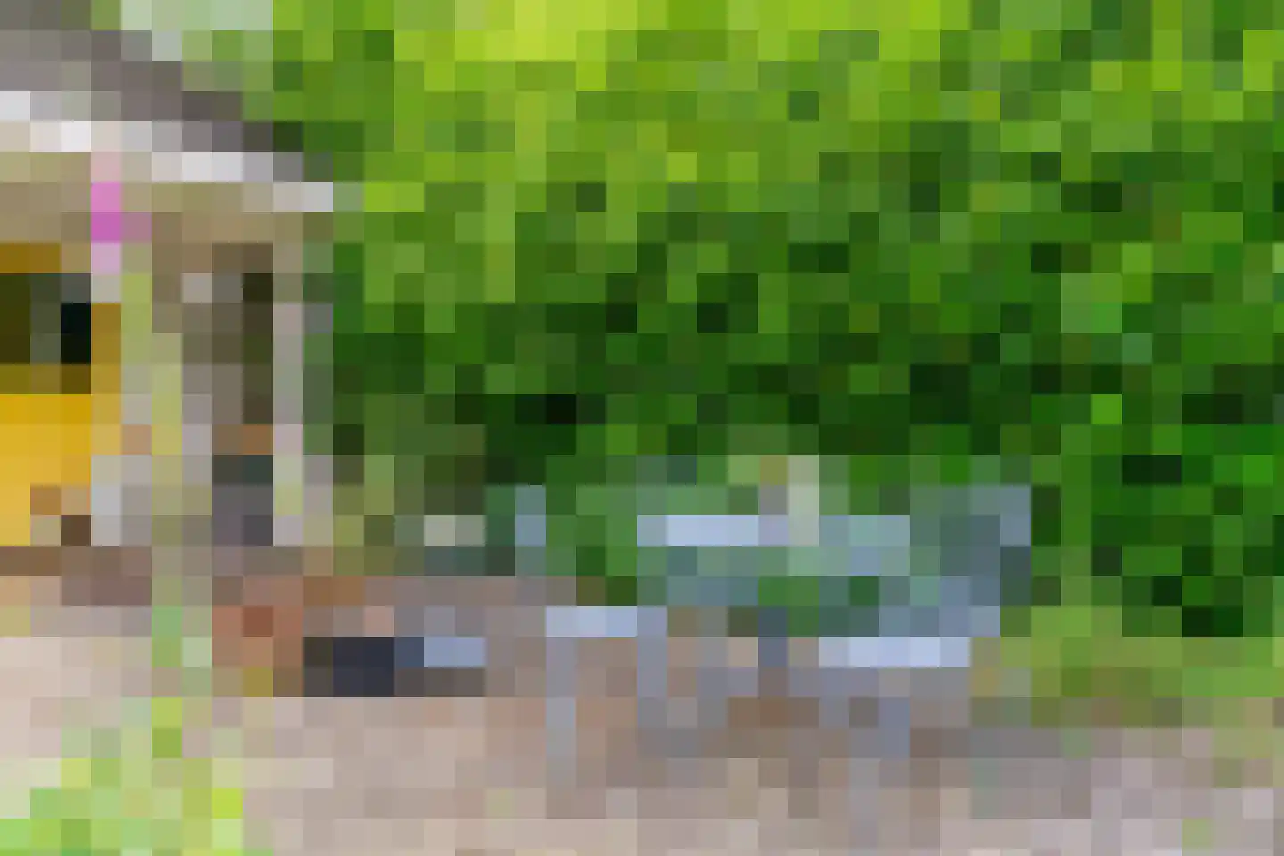 Smalle Themaat 15 Vleuten thumbnail 47