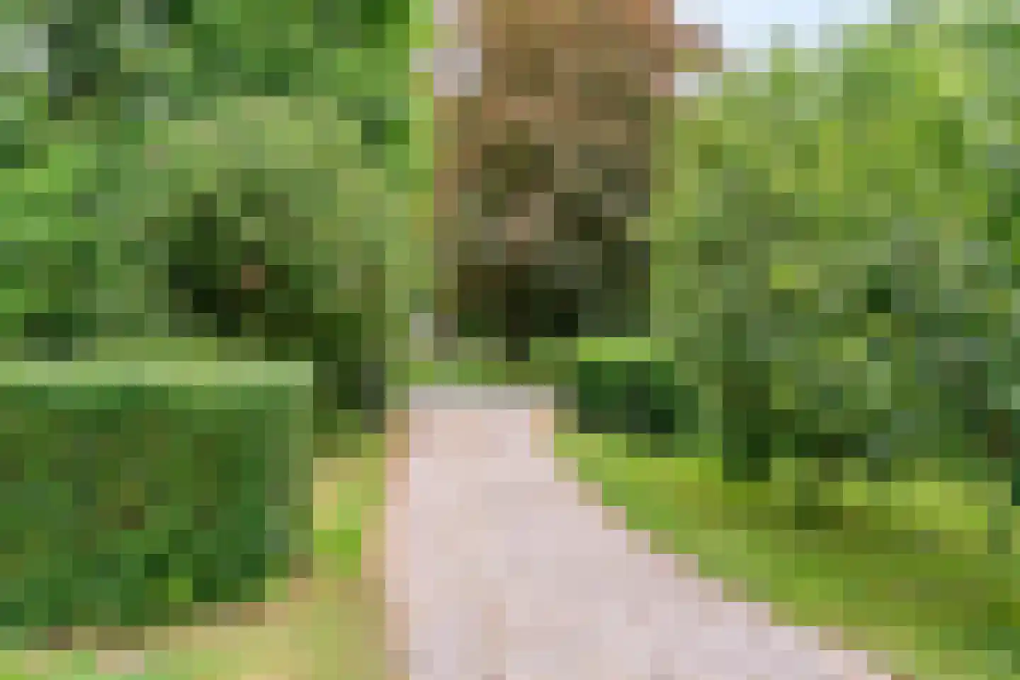 Smalle Themaat 15 Vleuten thumbnail 5