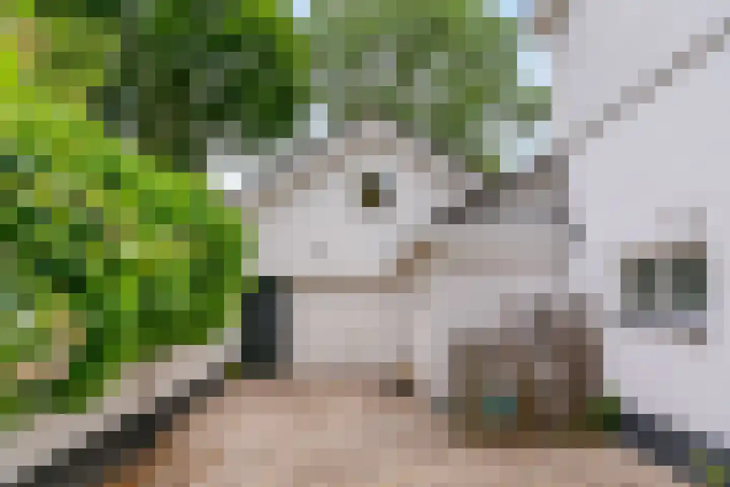 Smalle Themaat 15 Vleuten thumbnail 51