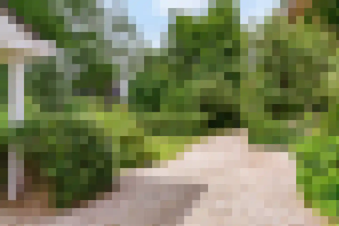 Smalle Themaat 15 Vleuten thumbnail 52