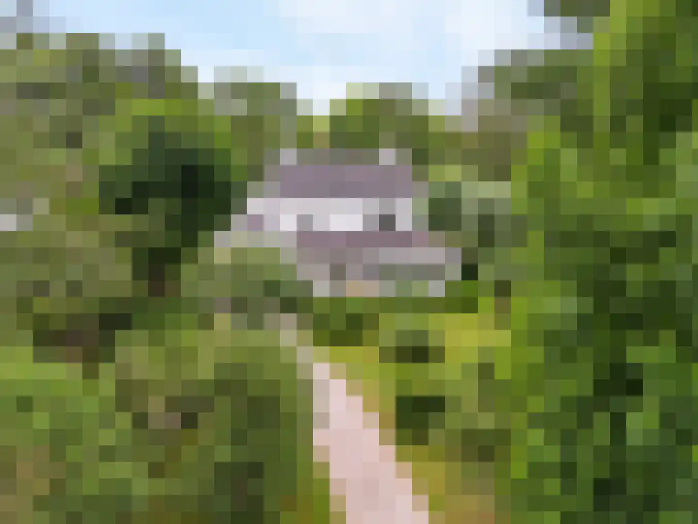 Smalle Themaat 15 Vleuten thumbnail 54