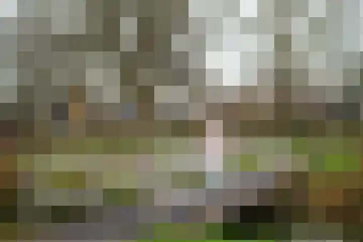 Smalle Vliet 25 Sleeuwijk thumbnail 22