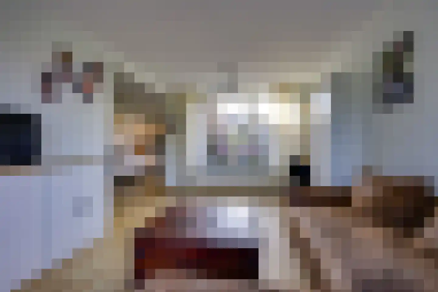 Smalle Vliet 38 Sleeuwijk thumbnail 8
