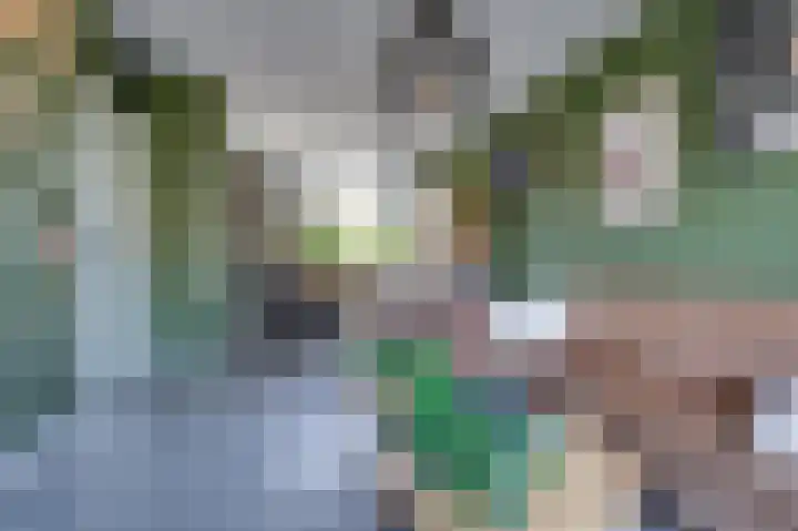 Smalle Vliet 8 Sleeuwijk thumbnail 5
