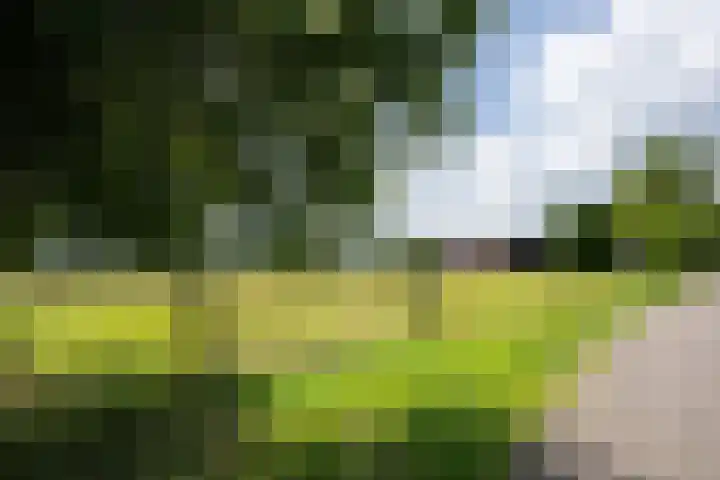 Smallegang 2 Klazienaveen thumbnail 10