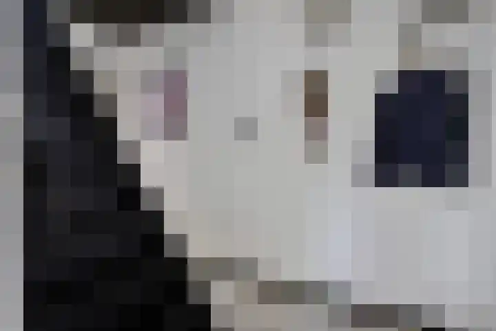 Smallegang 2 Klazienaveen thumbnail 11