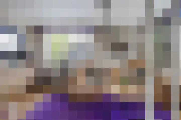 Smallegang 2 Klazienaveen thumbnail 14