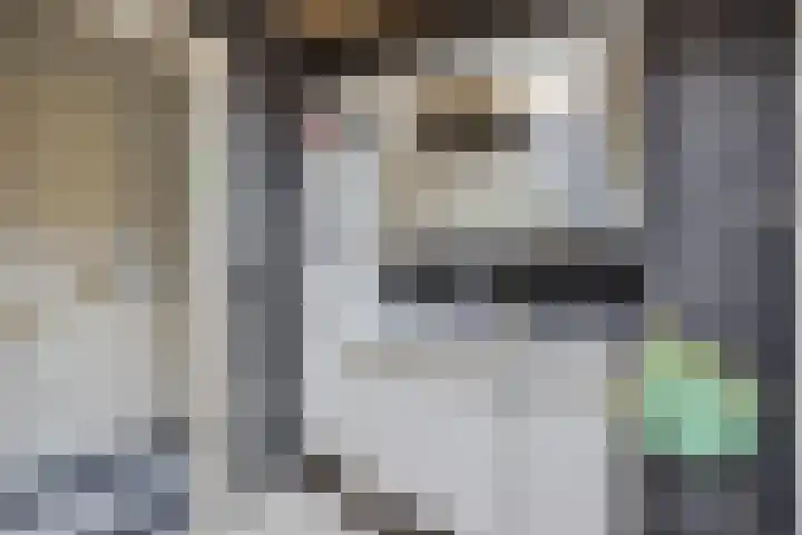 Smallegang 2 Klazienaveen thumbnail 19