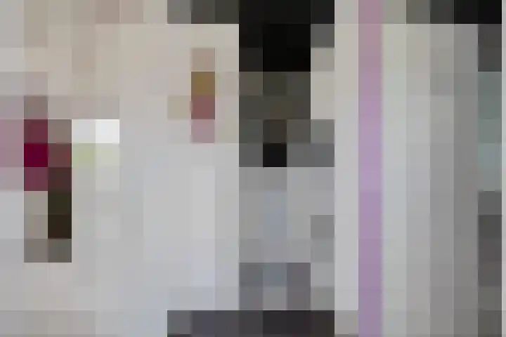 Smallegang 2 Klazienaveen thumbnail 27