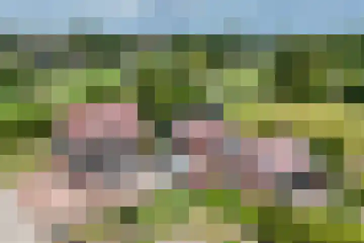 Smallegang 2 Klazienaveen thumbnail 4