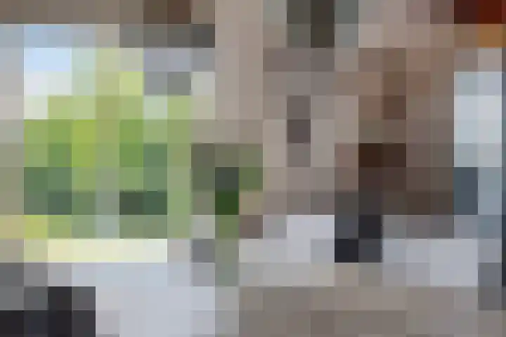 Smallegang 2 Klazienaveen thumbnail 40