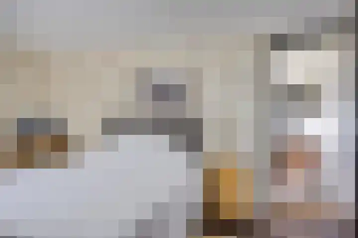 Smallegang 2 Klazienaveen thumbnail 42