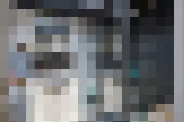 Smallegang 2 Klazienaveen thumbnail 43