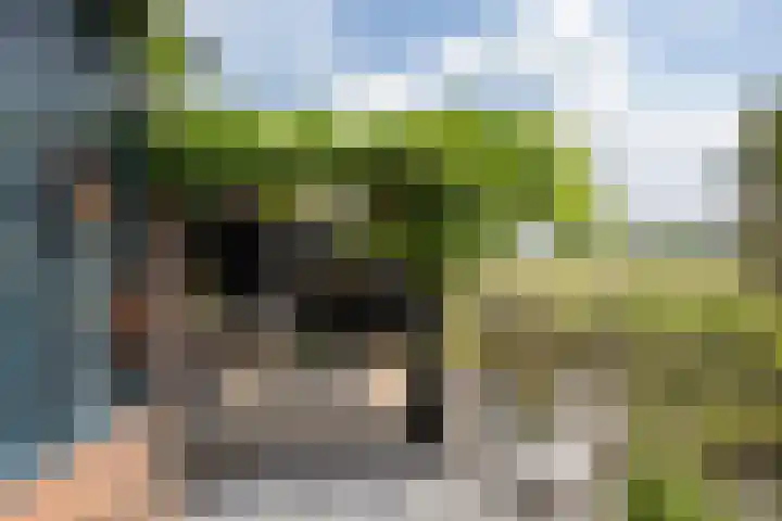 Smallegang 2 Klazienaveen thumbnail 44