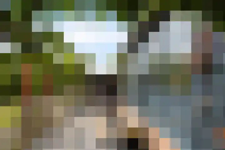 Smallegang 2 Klazienaveen thumbnail 45