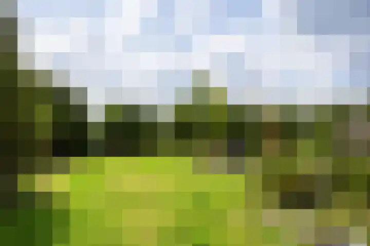 Smallegang 2 Klazienaveen thumbnail 46