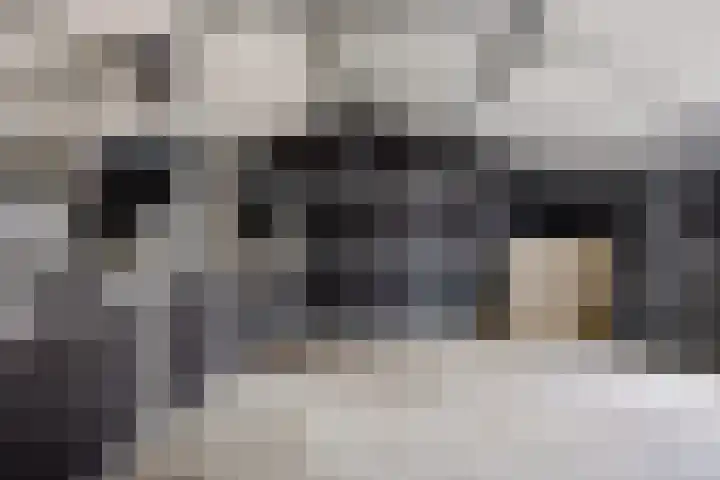 Smallegang 2 Klazienaveen thumbnail 58