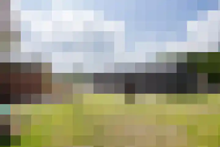 Smallegang 2 Klazienaveen thumbnail 59