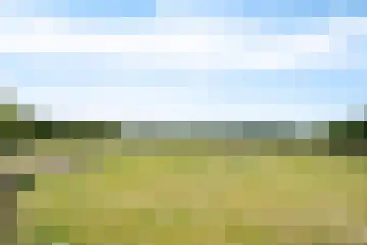 Smallegang 2 Klazienaveen thumbnail 60