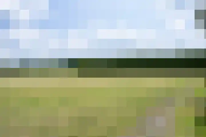 Smallegang 2 Klazienaveen thumbnail 61