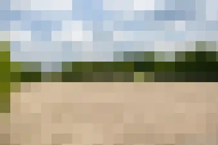 Smallegang 2 Klazienaveen thumbnail 62