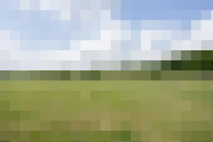 Smallegang 2 Klazienaveen thumbnail 63