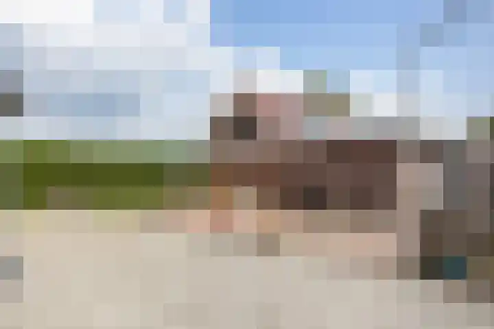 Smallegang 2 Klazienaveen thumbnail 67