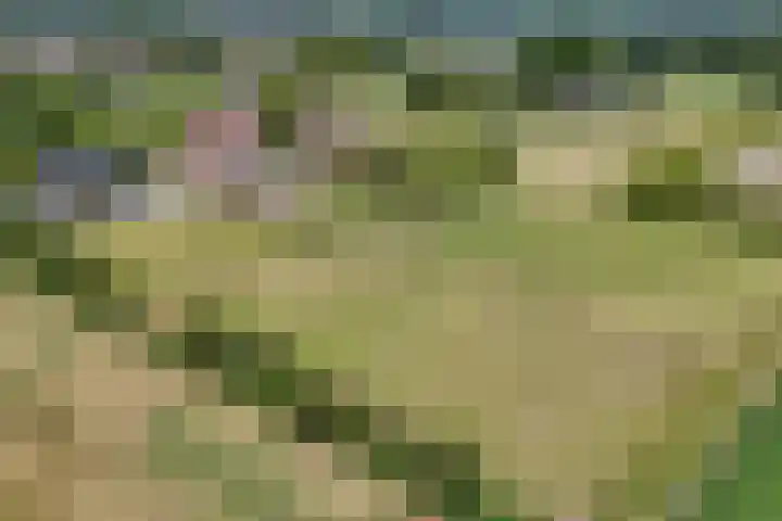 Smallegang 2 Klazienaveen thumbnail 8