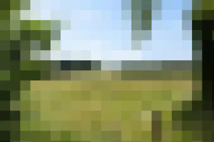 Smallegang 2 Klazienaveen thumbnail 9