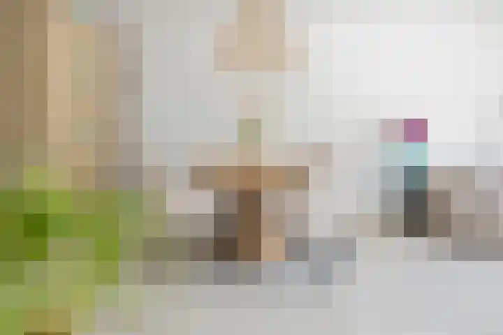 Smallekamp 4 Velserbroek thumbnail 10