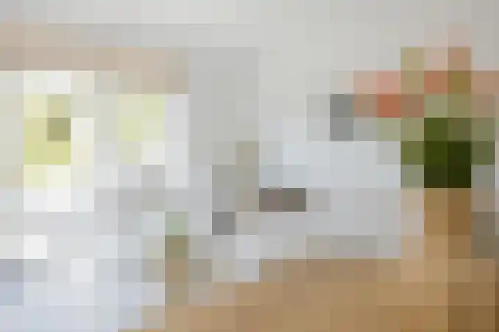 Smallekamp 4 Velserbroek thumbnail 11