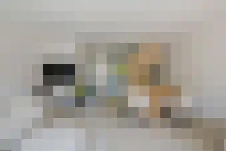 Smallekamp 4 Velserbroek thumbnail 14