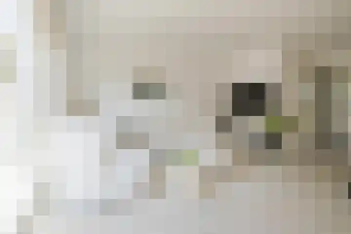 Smallekamp 4 Velserbroek thumbnail 16