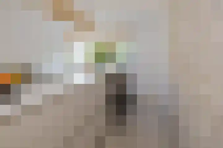 Smallekamp 4 Velserbroek thumbnail 18